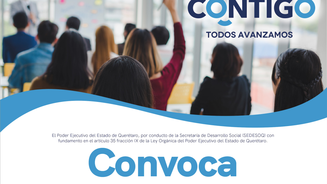 profesionalizacion